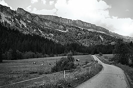Bernhard Saalfeld - Allgaeu SW (2v9)